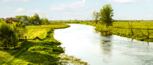 2025.07.01 / NAD NARWIĄ I BIEBRZĄ